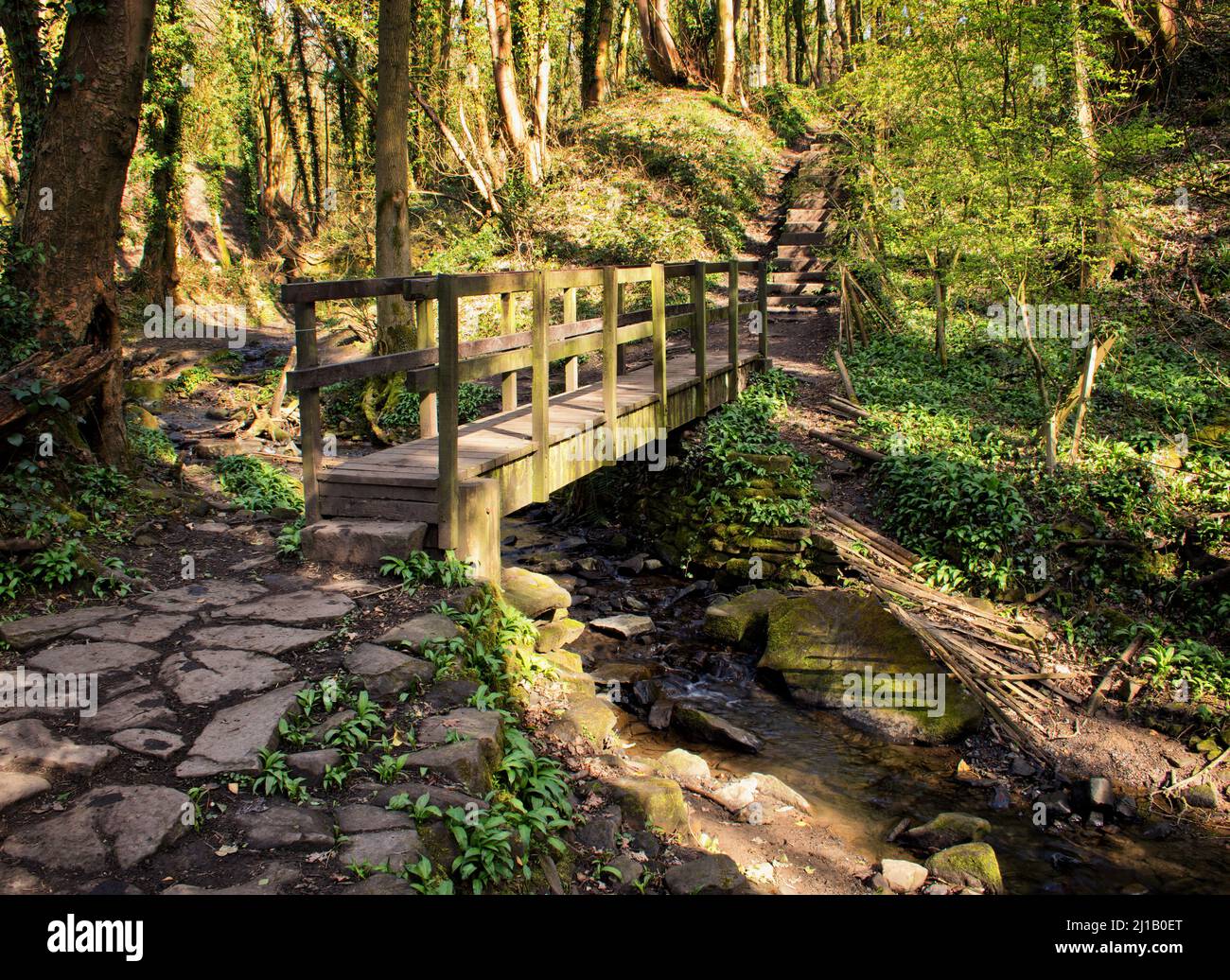 The path via a footbridge over Sprodley Brook, at Fairy Glen, Appley Bridge Stock Photo