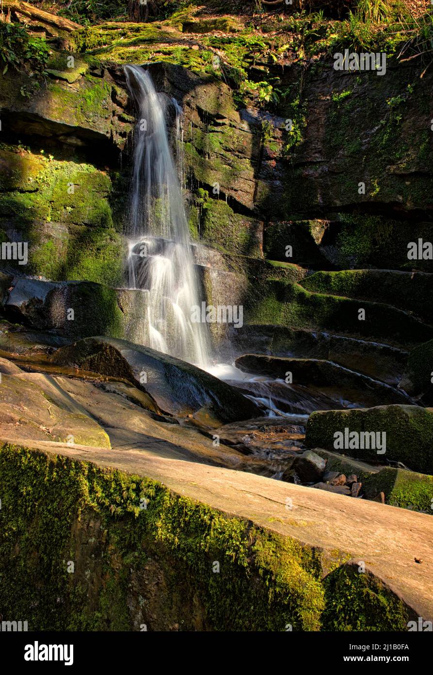 The waterfall at Fairy Glen, Appley Bridge, viewed from the stream bed Stock Photo