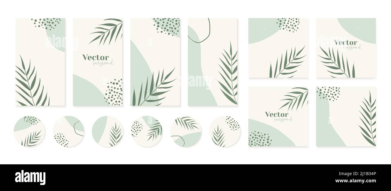Minimal instagram post, stories templates, highlights icons in green  colors. Abstract organic shapes floral background Stock Vector Image & Art  - Alamy