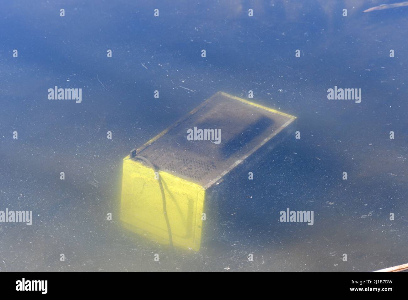 microwave oven dumped in a pond Stock Photo Alamy