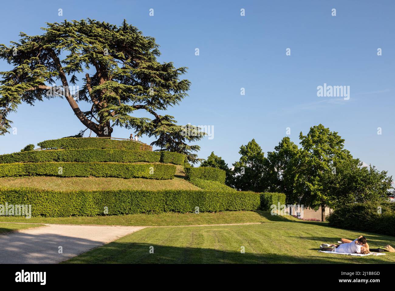 ENLACED COUPLE IN FRONT OF THE LEBANESE CEDAR PLANTED IN 1849 ON ITS HILLOCK, CAEN, CALVADOS, NORMANDY, FRANCE Stock Photo