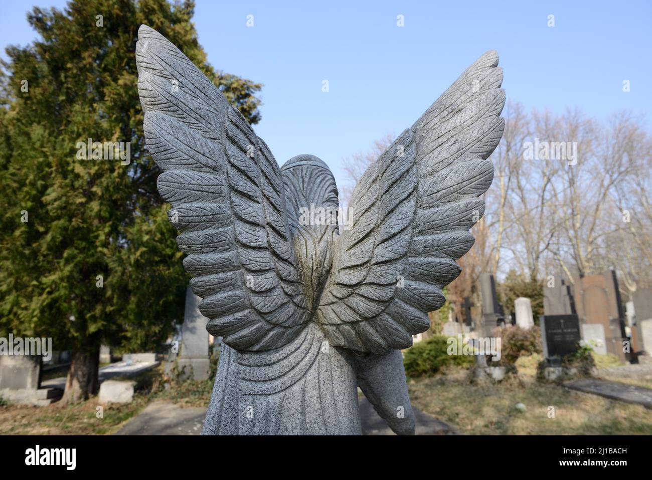 Vienna, Austria. The Vienna Central Cemetery. Back view of an angel statue Stock Photo