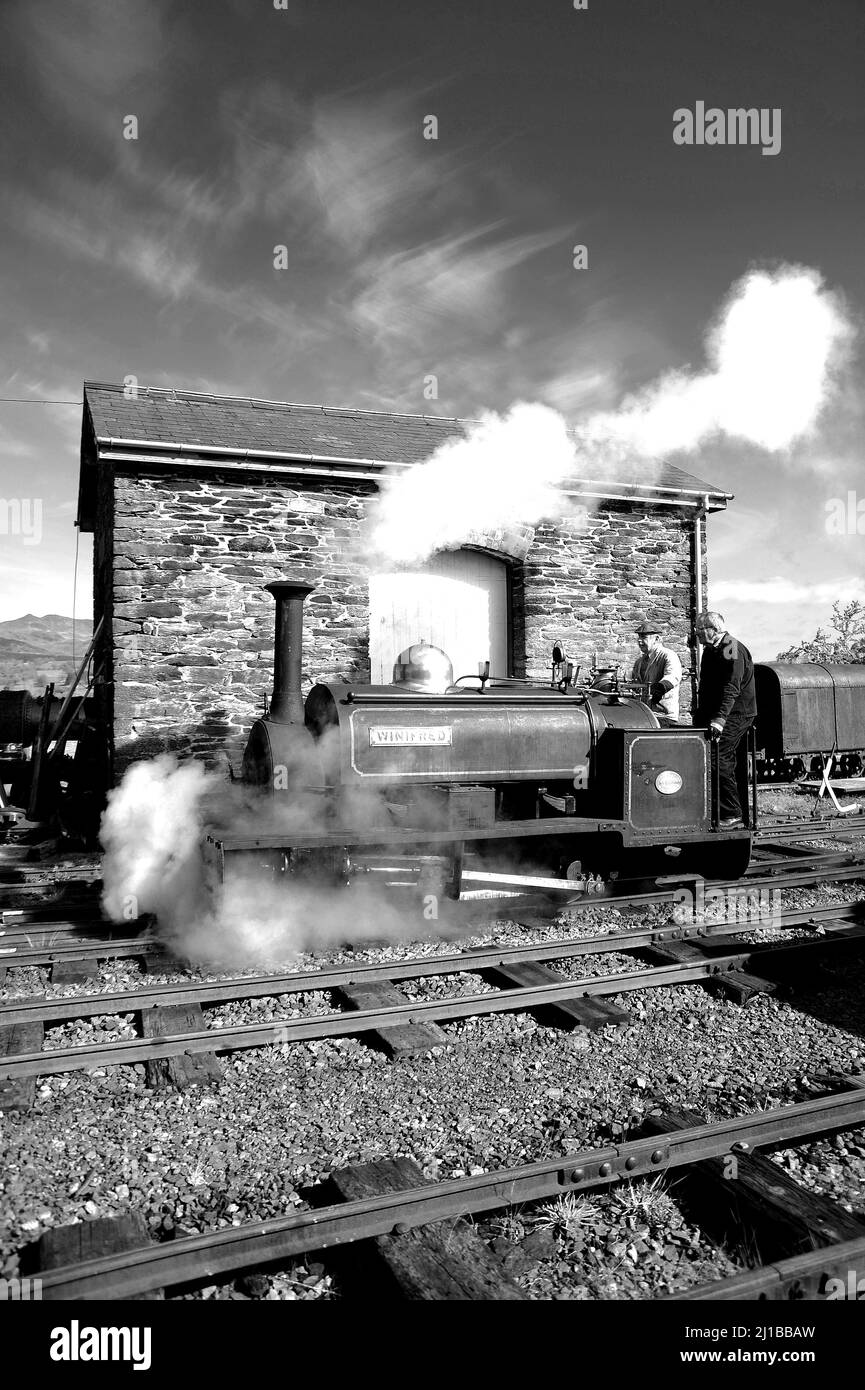 'Winifred' moving off shed at Llanuwchllyn. Stock Photo