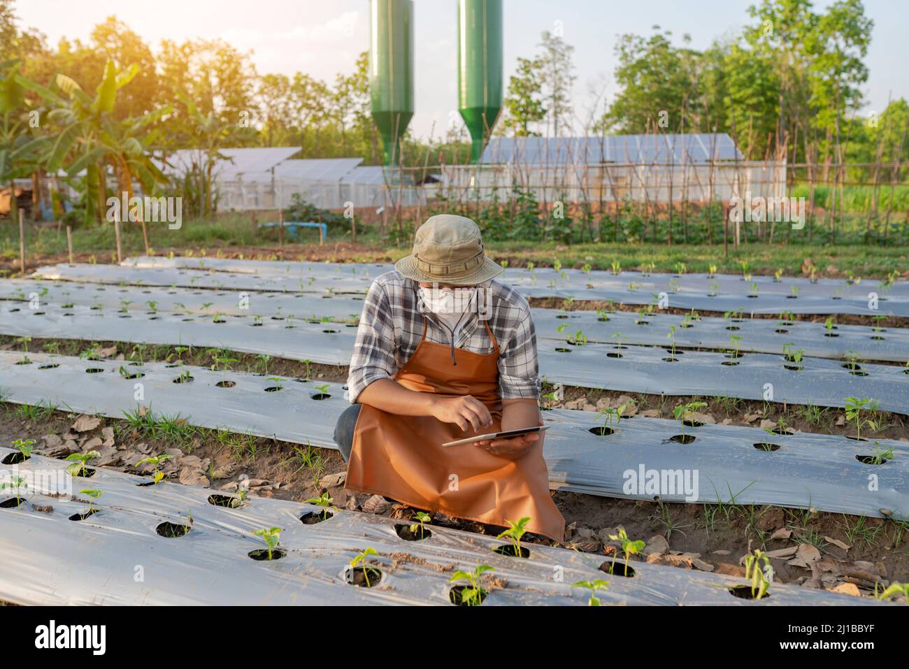 Young gardeners use tablets working in the farmland and renewable energy solar panel power station Stock Photo