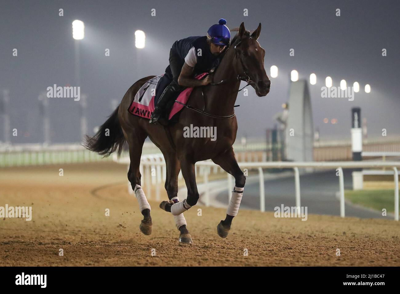 Dubai, USA. 22nd Mar, 2022. March 23, 2022: Irwin in preparation for the UAE Derby at Meydan Racecourse in Meydan, Dubai United Arab Emirates on March 23rd, 2022. Shamela Hanley/Eclipse Sportswire/CSM/Alamy Live News Stock Photo