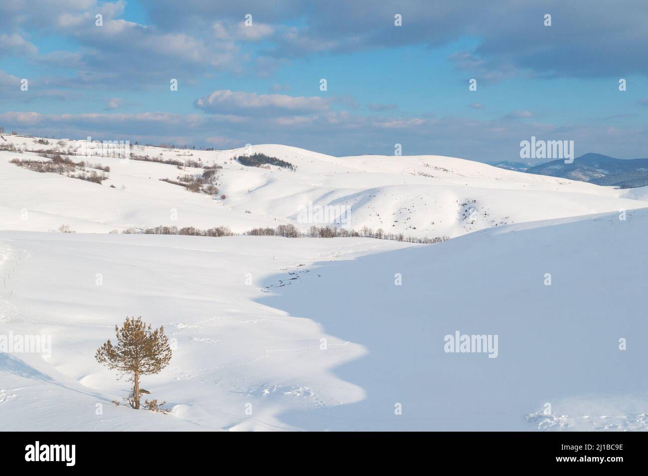 Winter mountain landscape in snow, beautiful Zlatibor scenery Stock Photo