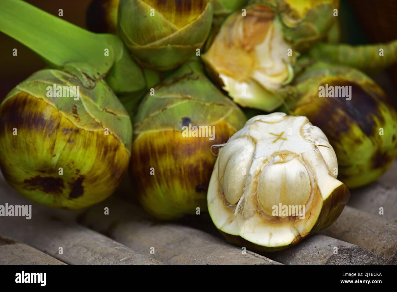fresh Palmyra palm fruit and shell of Palmyra palm. Asian Toddy palm, Sugar palm Stock Photo Alamy
