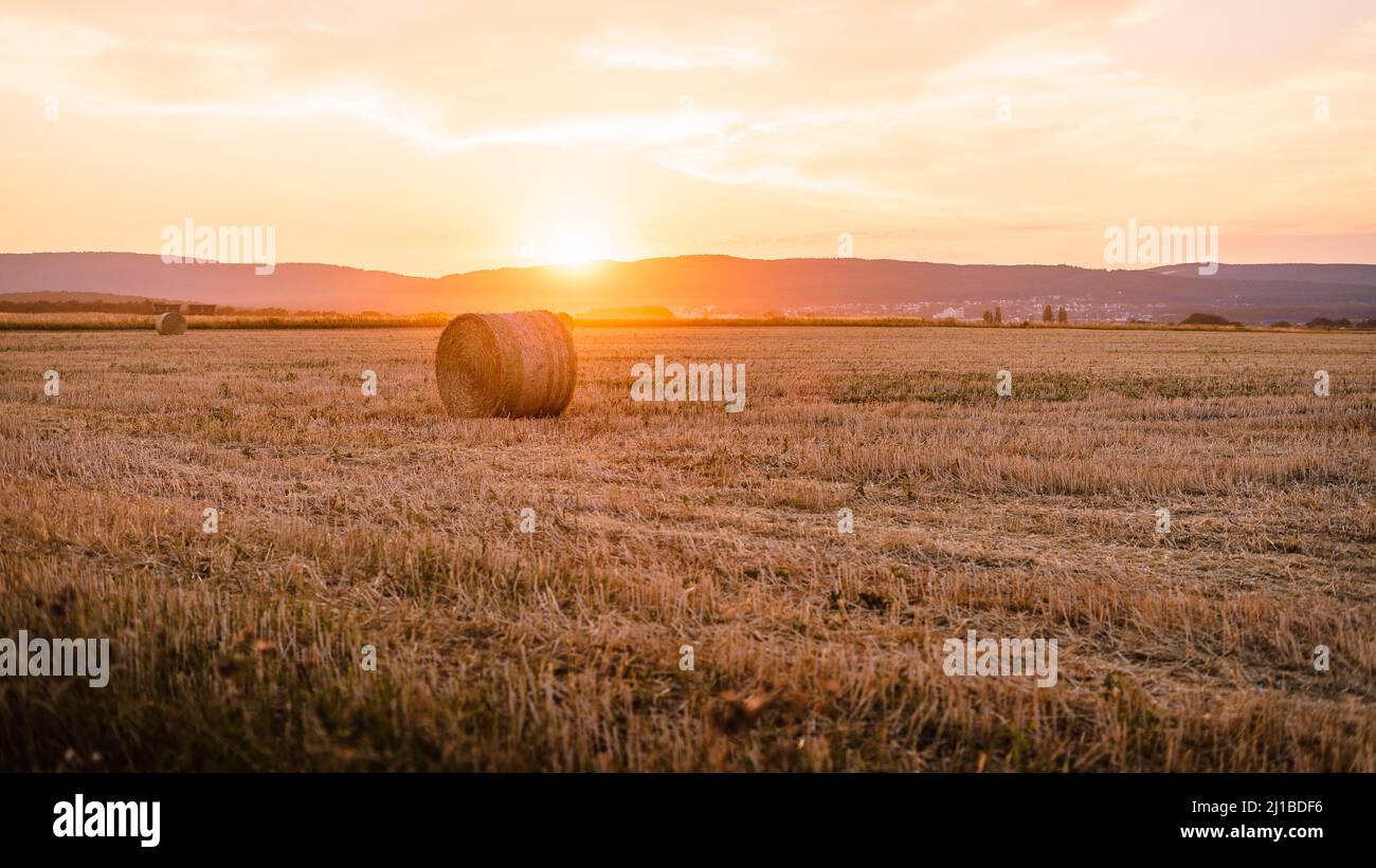 A wallpaper field at sunset and rolls of hay Stock Photo - Alamy