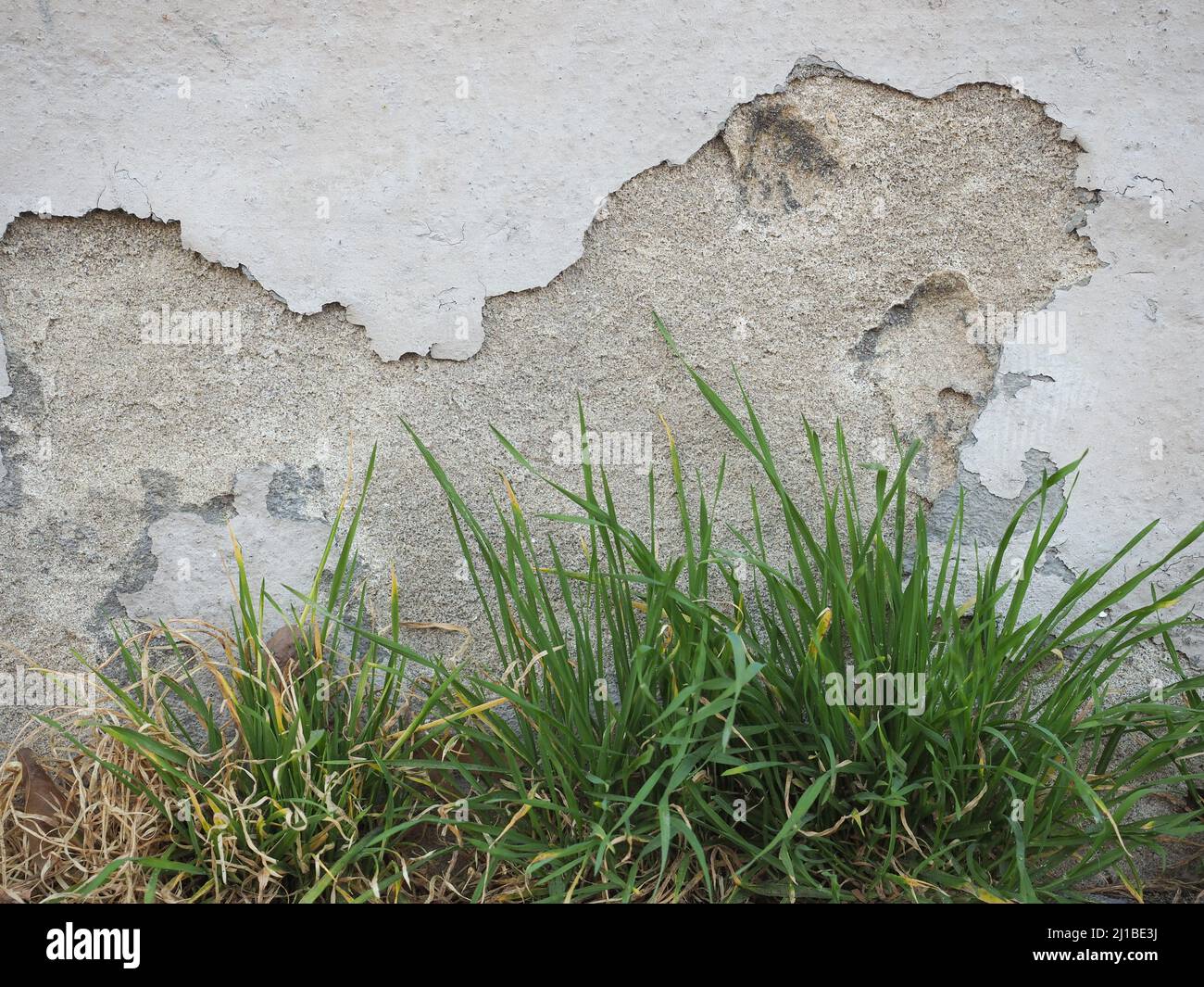 old wall and grass useful as a background Stock Photo - Alamy