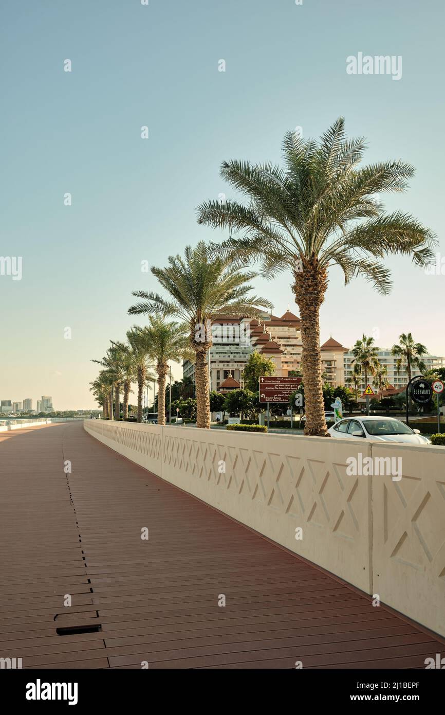 Palm trees grow on waterfront on Palm Jumeirah artificial island in