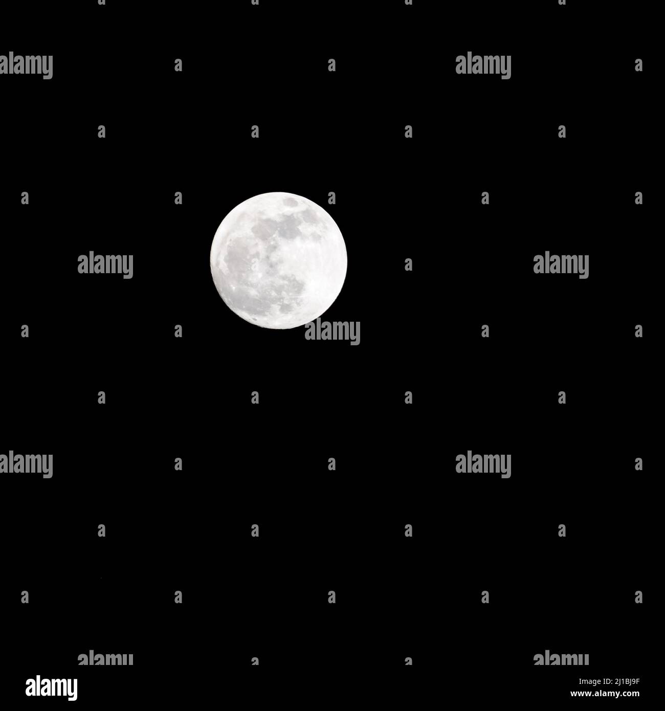 Moon Timelapse, Stock time lapse Full moon rise in dark nature sky
