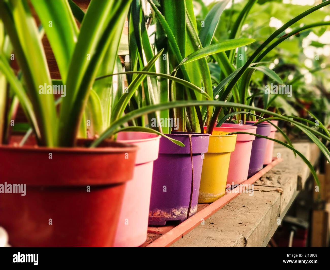 Stack of Flower Pots – Do It And How