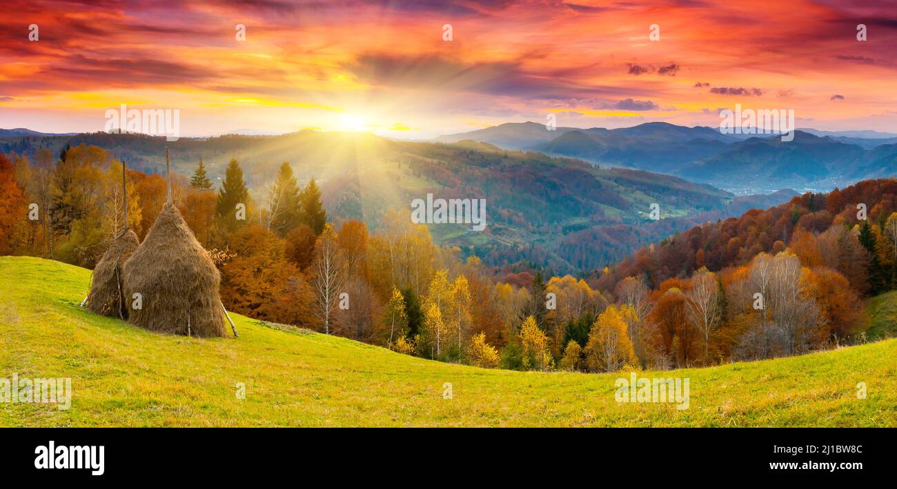the mountain autumn landscape with colorful forest Stock Photo - Alamy