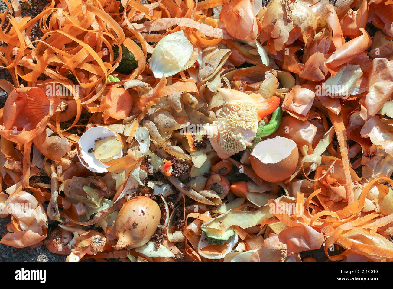 Raw kitchen waste for composting Stock Photo