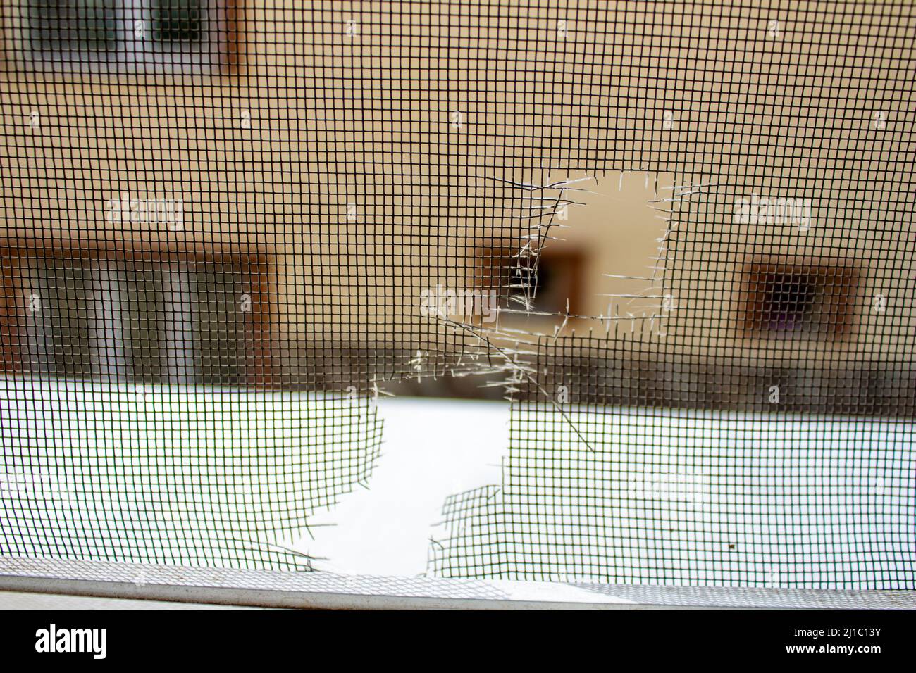 Closeup photo of broken mosquito screen. Stock Photo