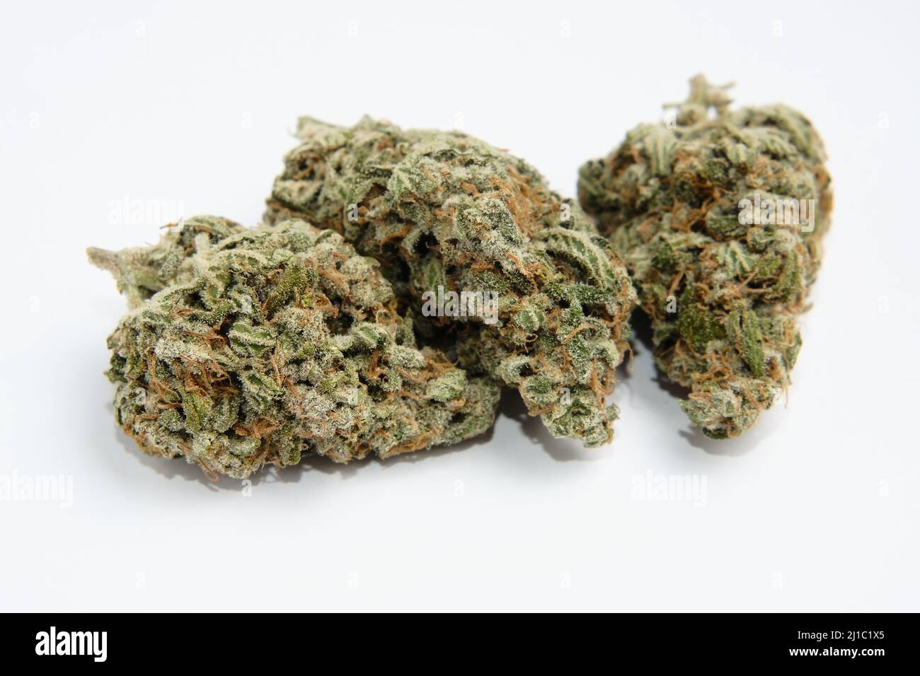 Cannabis flowers, macro view, isolated. Layout of marijuana buds on