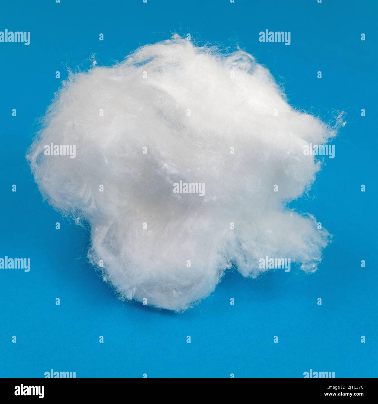 Cotton wadding against a blue background Stock Photo Alamy