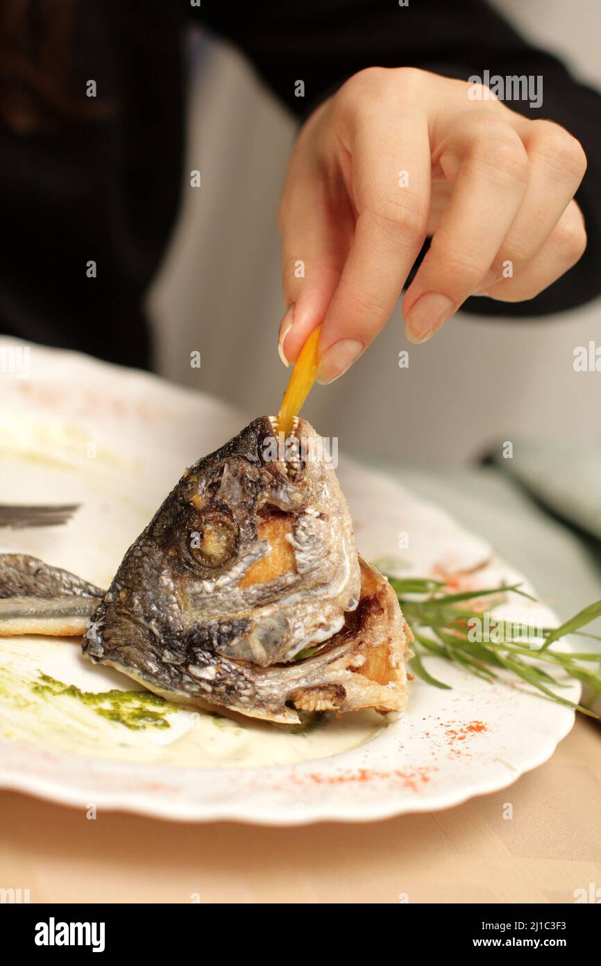 Fish As Element The head of Dorado fish as element dish Stock Photo - Alamy