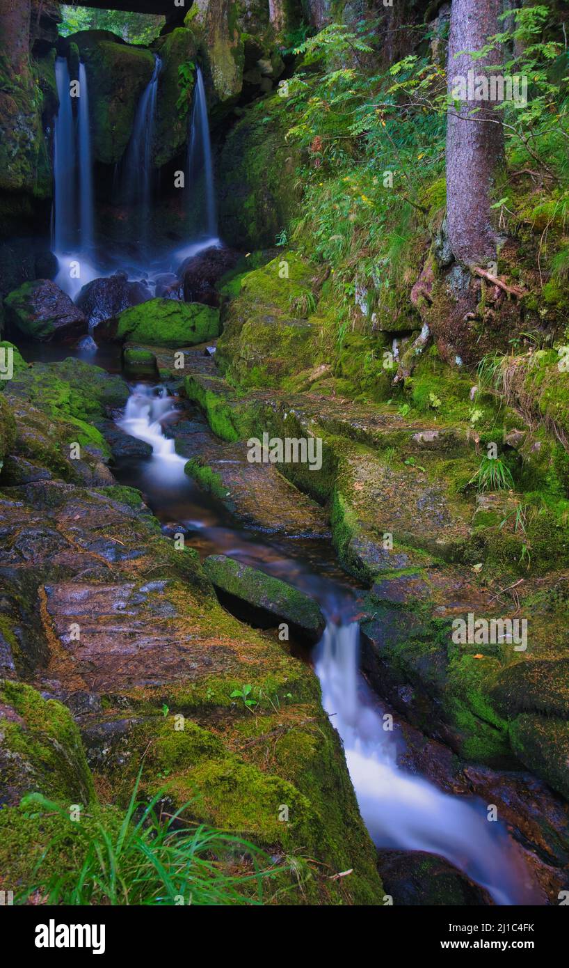 Small Spring Flowing From Rocks Mossy rocks from spring water hi-res stock photography and images - Alamy