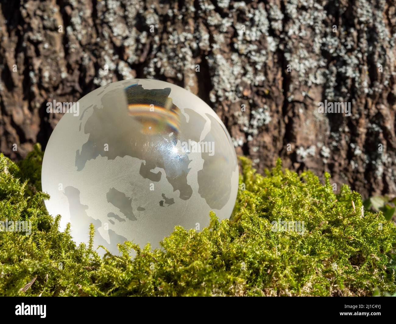 Earth globe on moss symbolic background Stock Photo