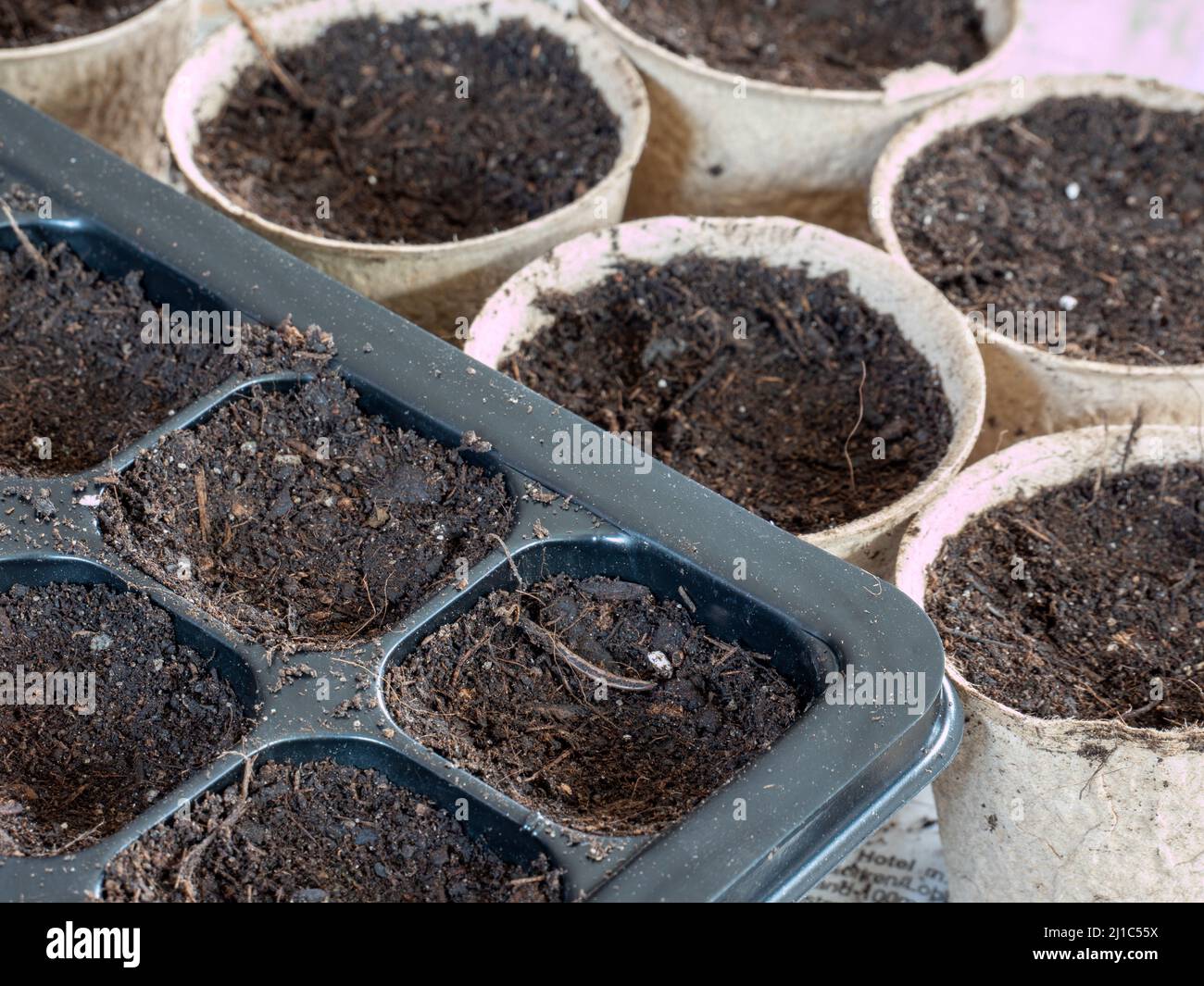 Sowing pots for plants in spring Stock Photo