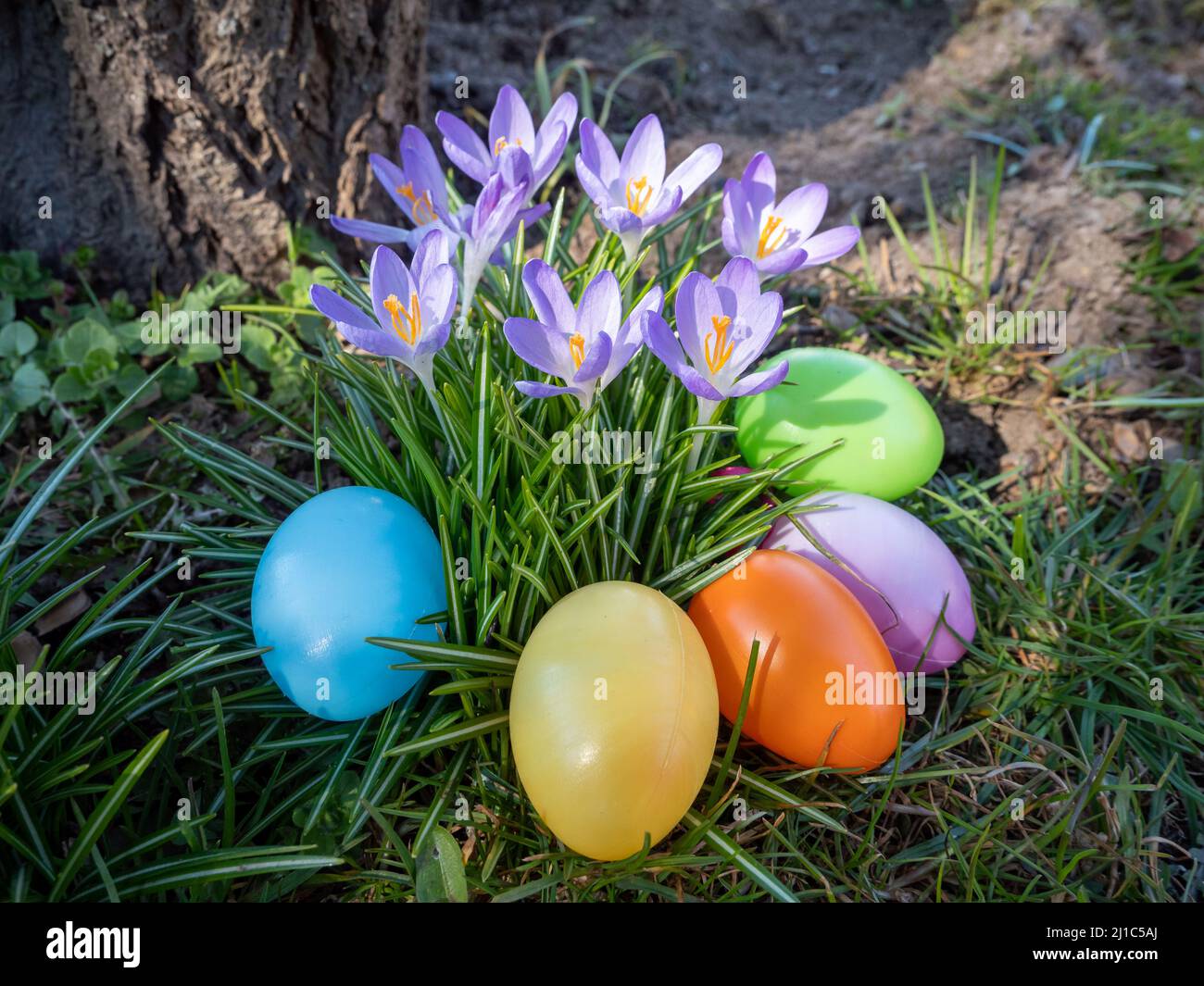 Easter eggs with flowers in the garden Stock Photo