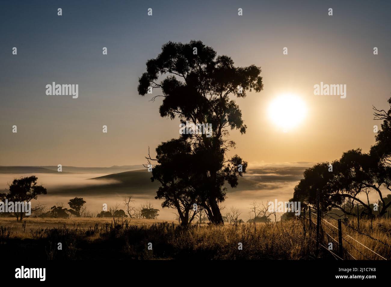 A scenery of the sunrise over a farm with fog on the mountains in Cooma