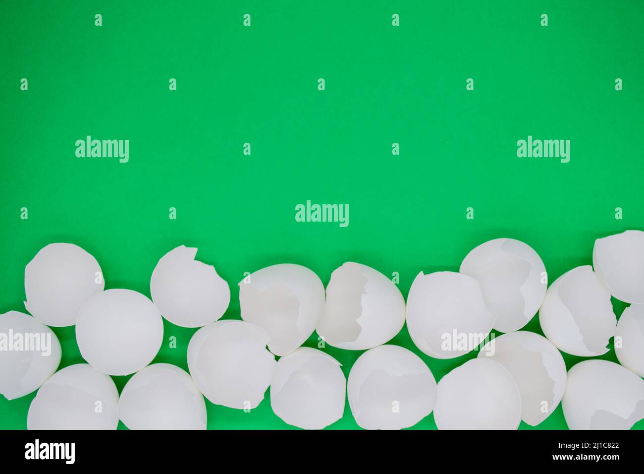Lots of broken white eggshells on a bright green background. Copy space. Stock Photo