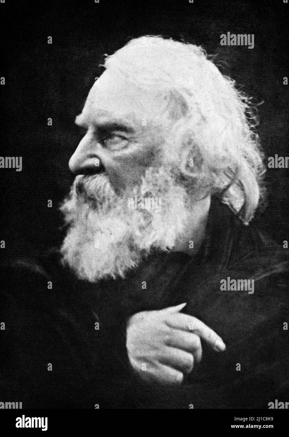 Henry Wadsworth Longfellow (1807–1882), portrait by Julia Margaret Cameron (1815-1879), 1868 Stock Photo