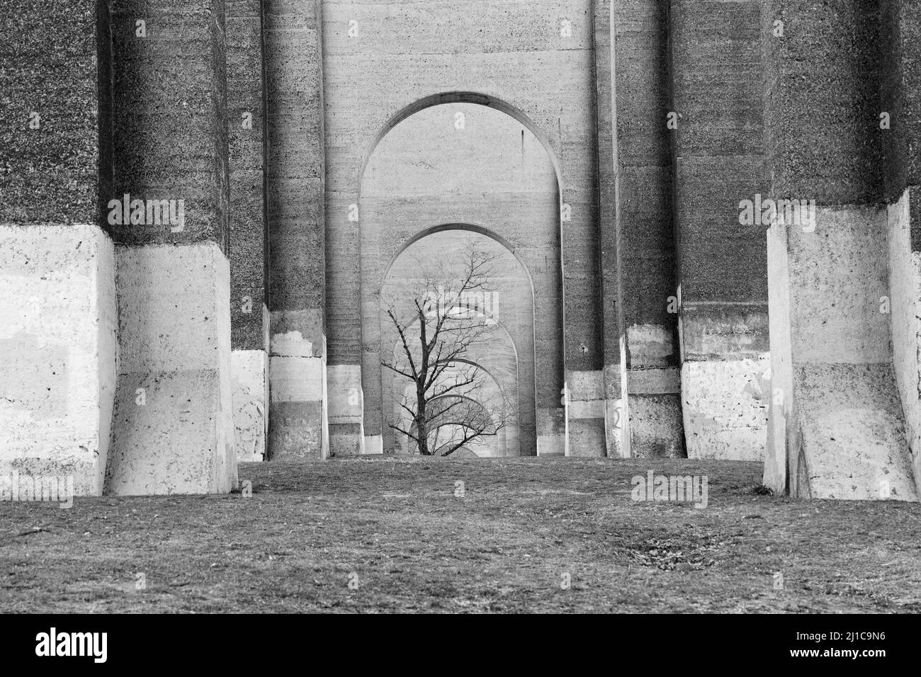 A grayscale shot of the row of stone arches and the tree Stock Photo ...
