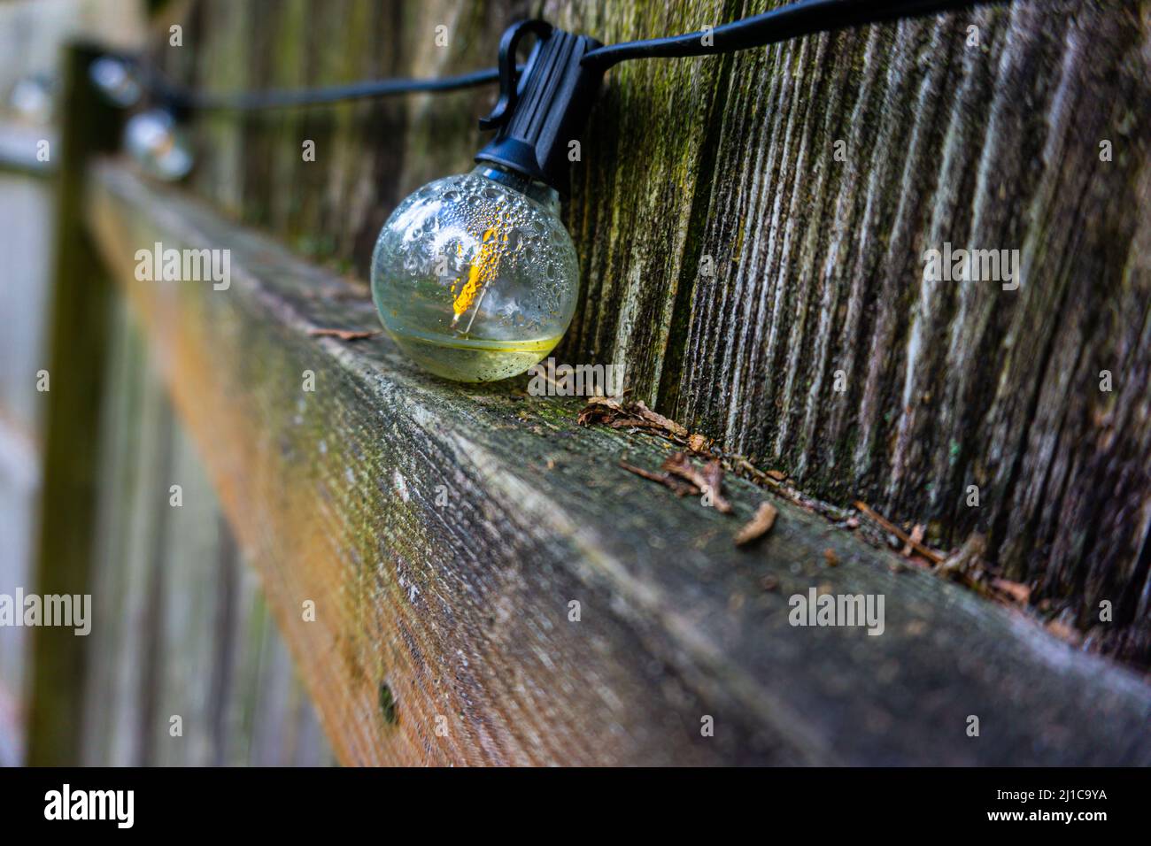 A lightbulb filling with water resting on a wood beam attached to a decaying fence. Stock Photo