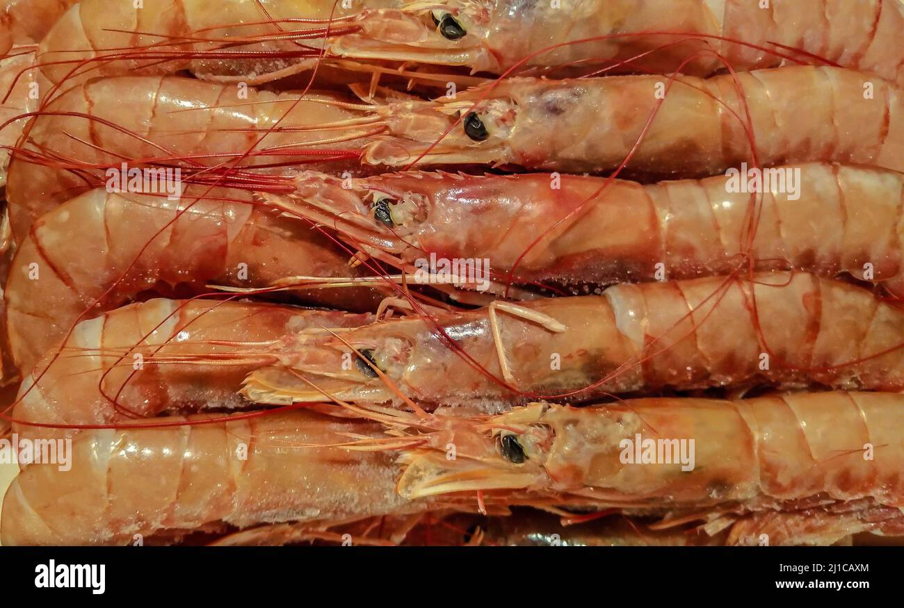 natural background of large sea shrimp, seafood. Stock Photo