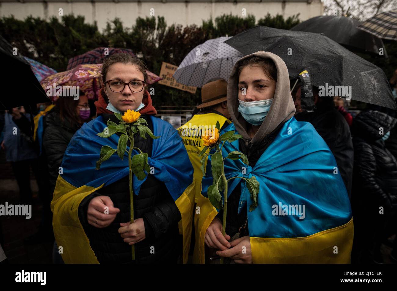 Ukraine sunflowers flag hi-res stock photography and images - Alamy