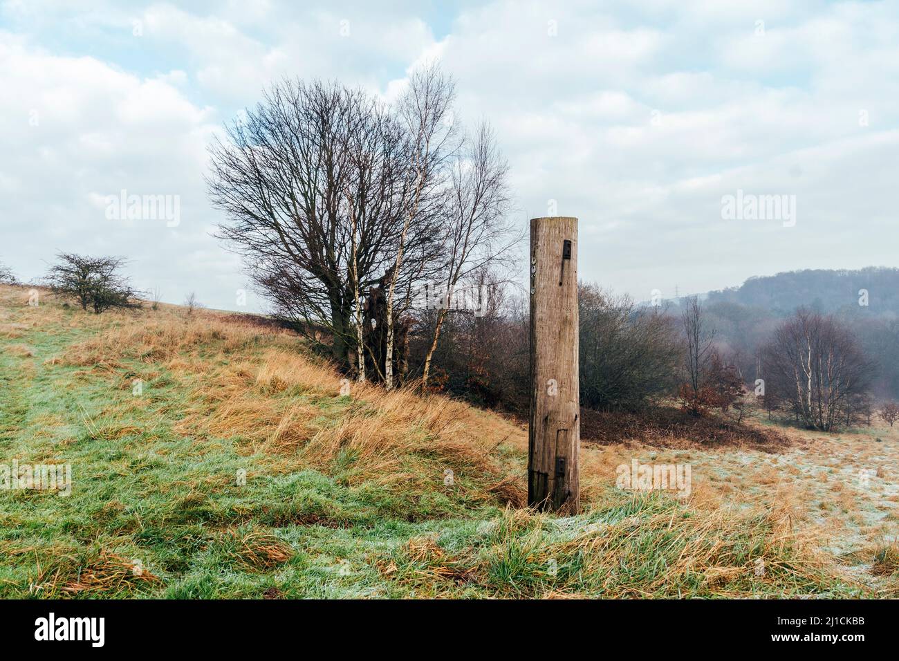 Common Land on the old Great Barr Hall estate at Great Barr, West