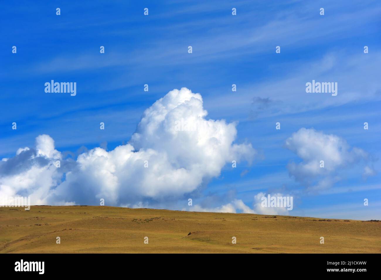 Background image shows horizon and the 'Big Sky' country or Montana.  Cloud bank sits on vivid blue sky. Stock Photo
