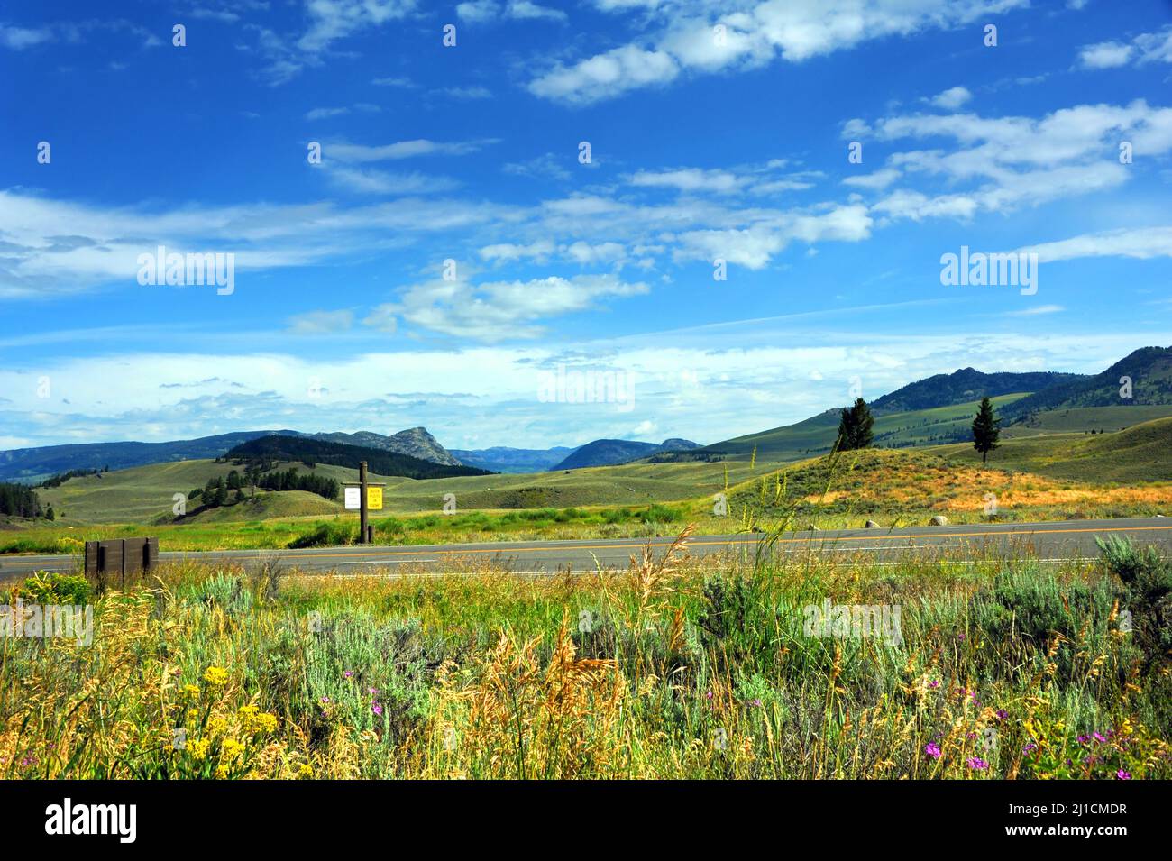 Road travels through Lamar Valley in Yellowstone National Park. Scenic