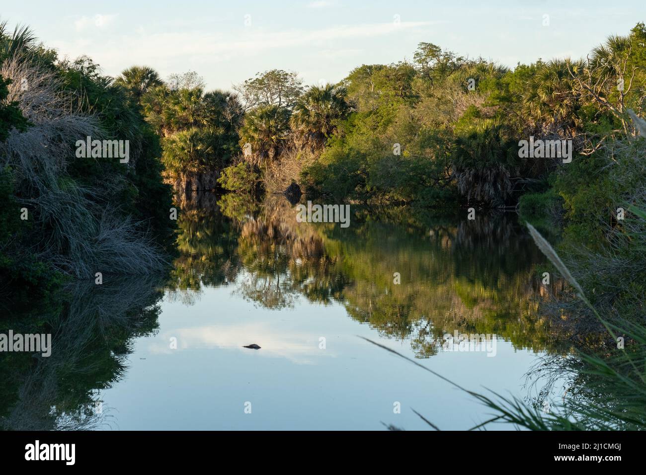Resaca Rgv Rio grande river brownsville texas hi-res stock photography and images ...