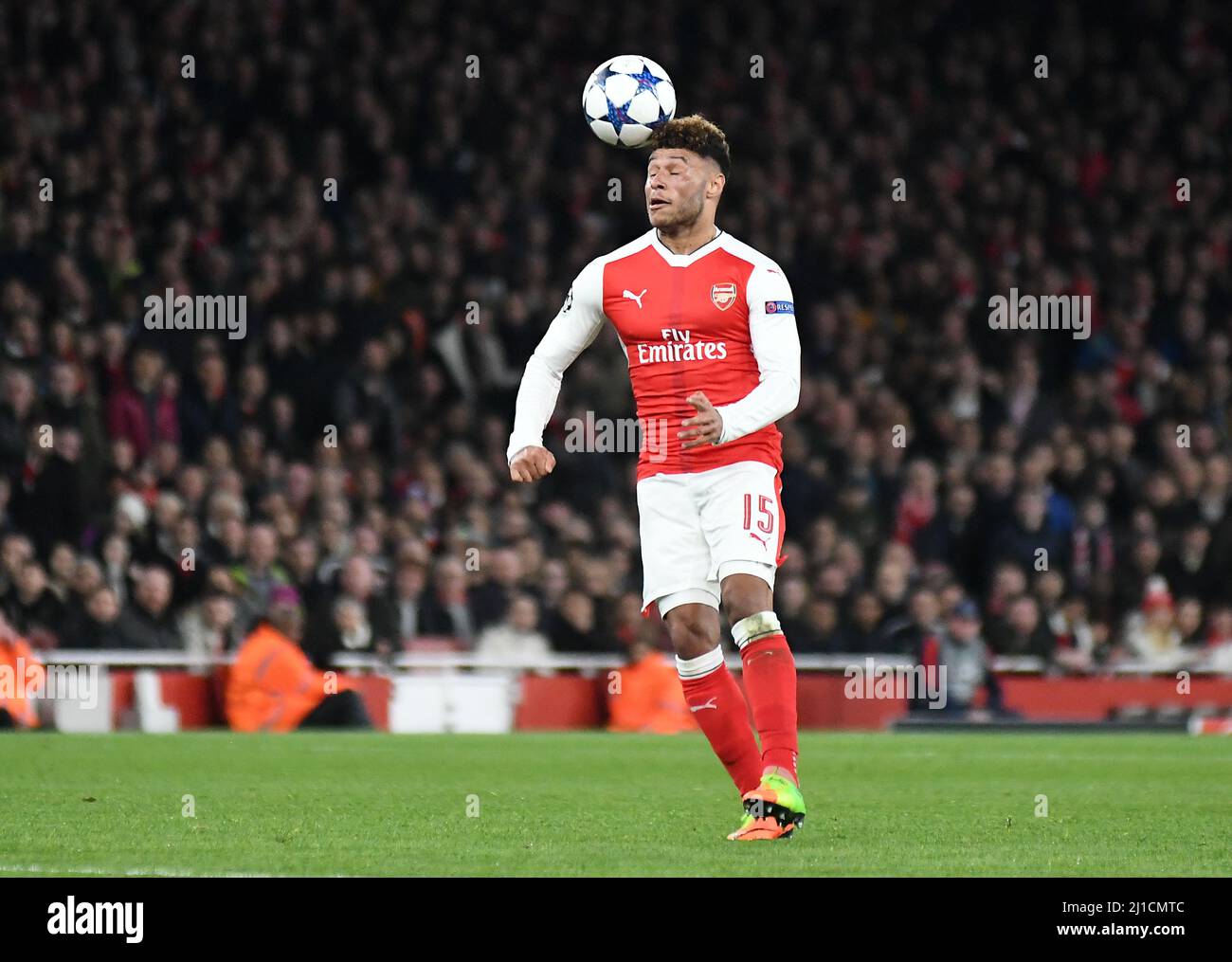 LONDON, ENGLAND - MARCH 7, 2017: Alex Oxlade-Chamberlain of Arsenal pictured in action during the second leg of the UEFA Champions League Round of 16 game between Arsenal FC and Bayern Munchen at Emirates Stadium. Copyright: Cosmin Iftode/Picstaff Stock Photo