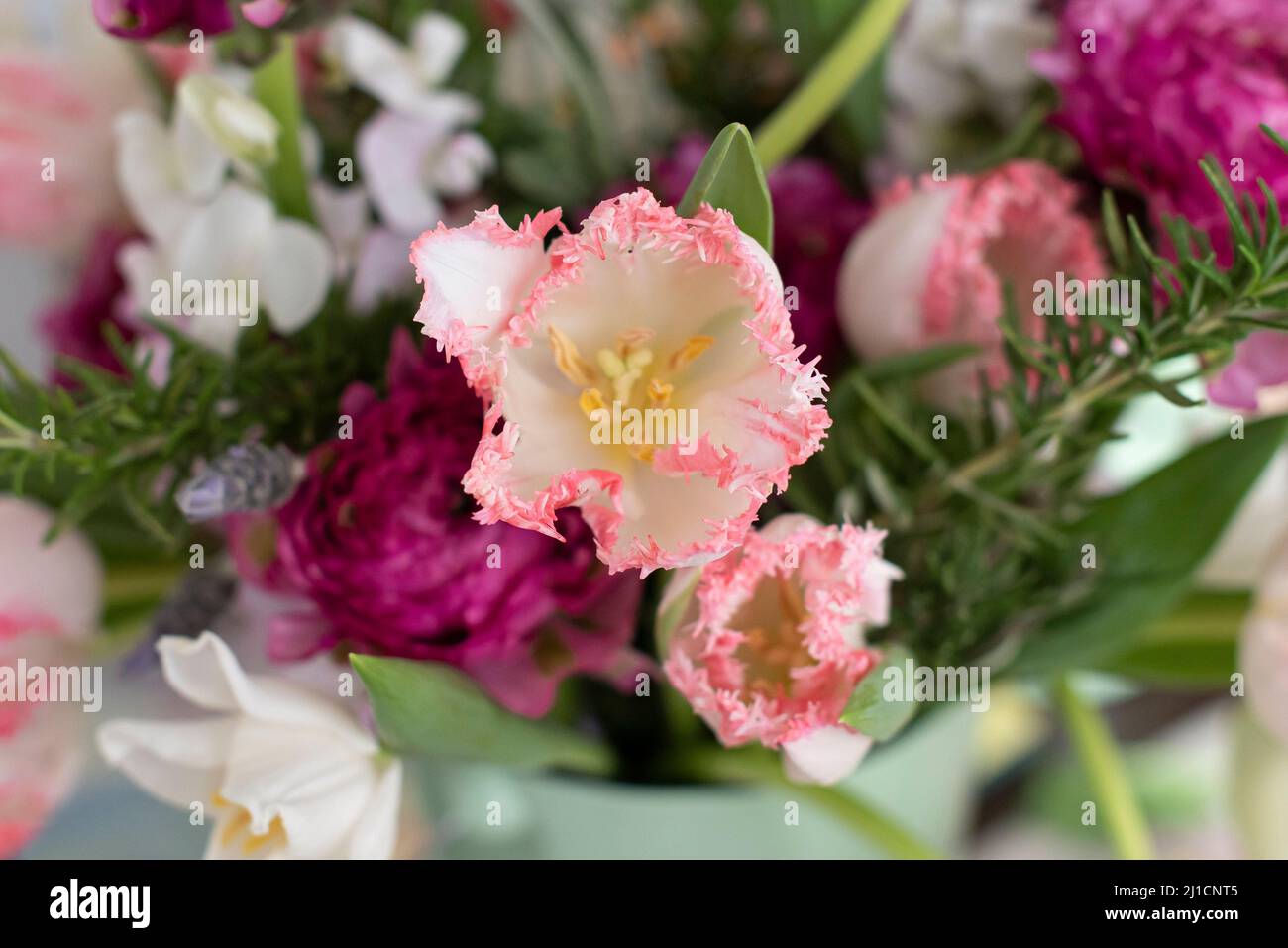 Brightly colored tulips from a flower market. Stock Photo