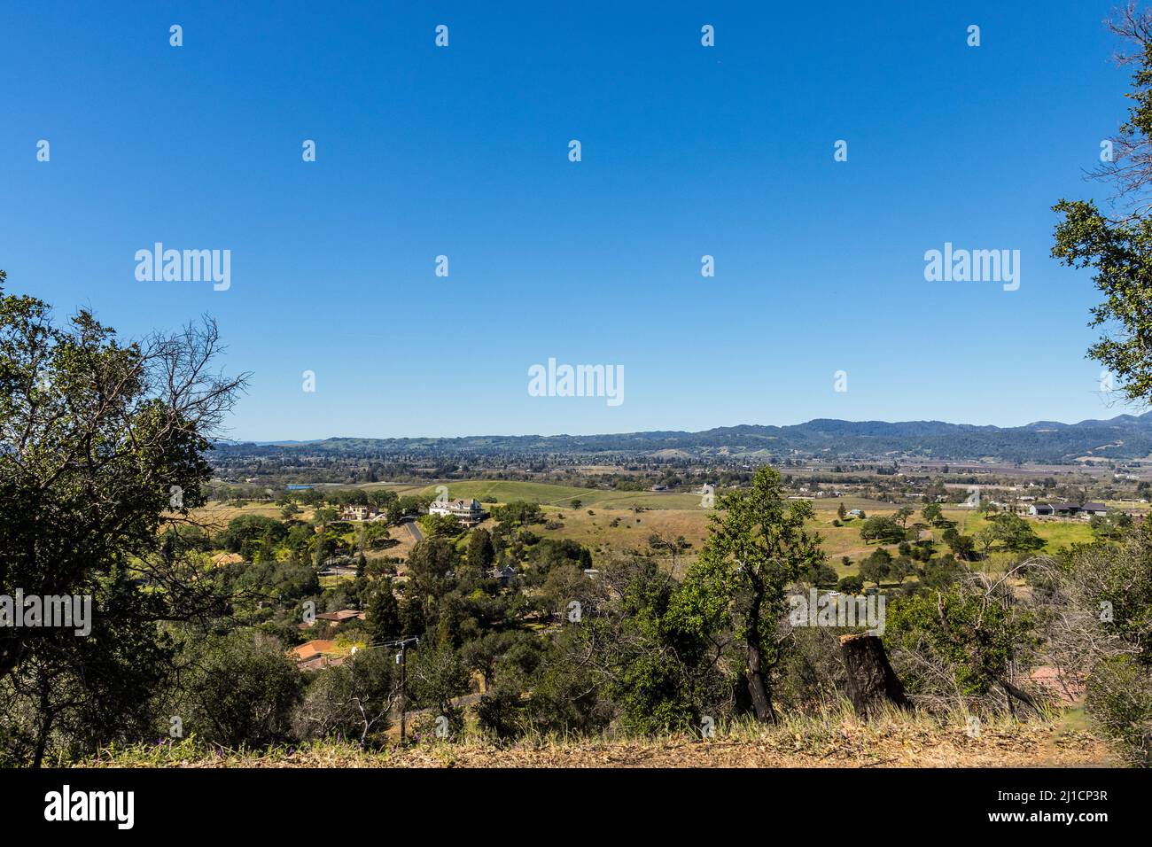 A Napa Valley vista on a warm spring day of the Napa Valley of California from Atlas Peak road Stock Photo