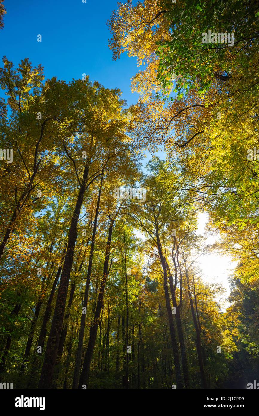 Smoky mountains hike autumn hires stock photography and images Alamy