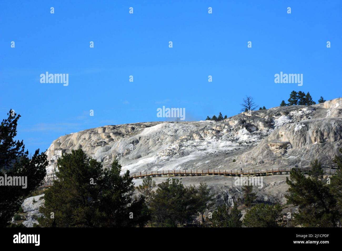 Boardwalk traverses length of white terraces at Mammoth Springs, in Yellowstone National Park. Stock Photo