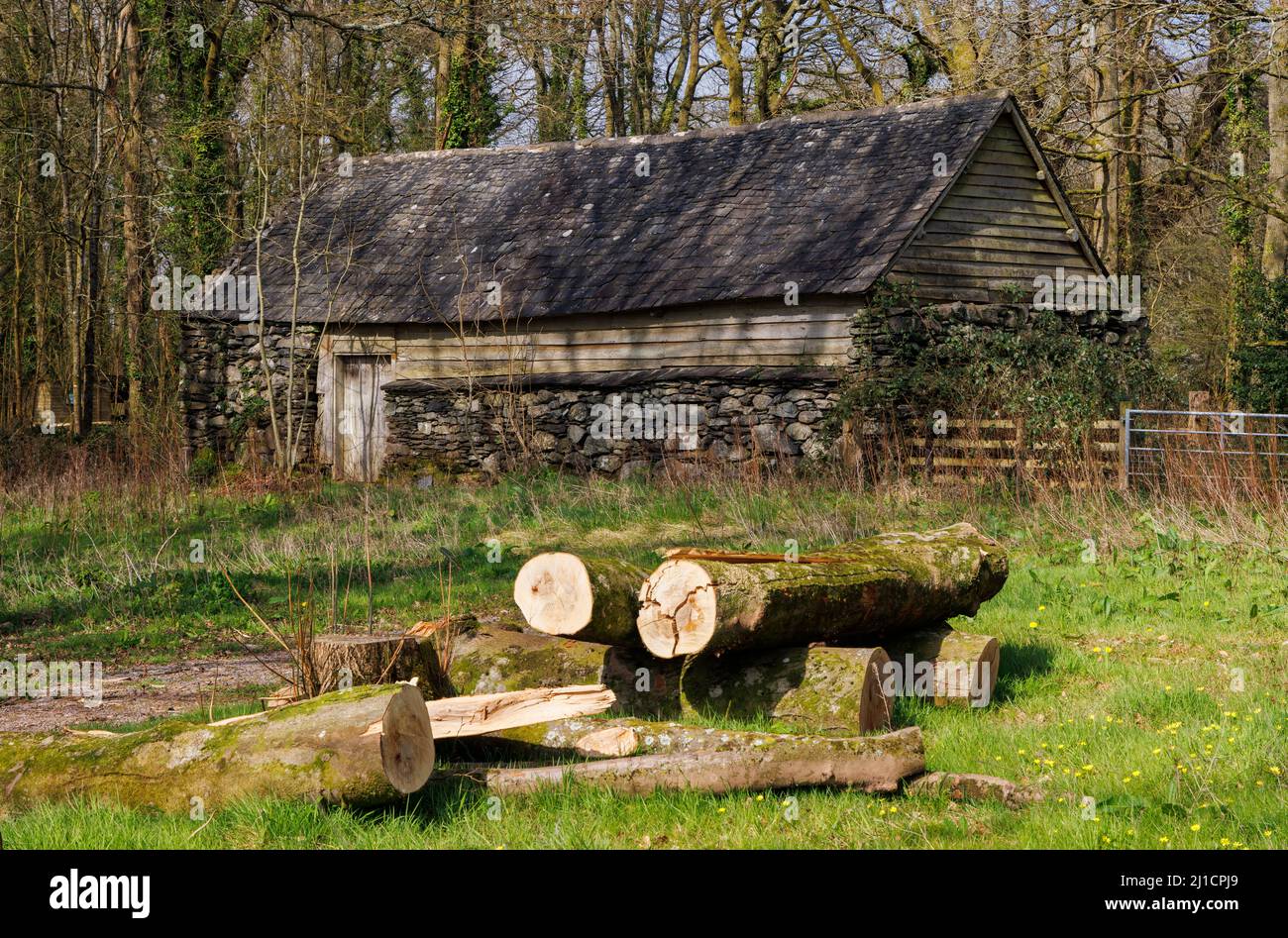 Hendre-wen Barn at the National History Museum at St Fagans, Cardiff, Wales. Stock Photo