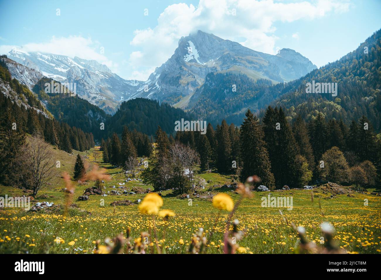 Switzerland Europe Toggenburg Valley Hi res Stock Photography And switzerland-europe-toggenburg-valley-hi-res-stock-photography-and