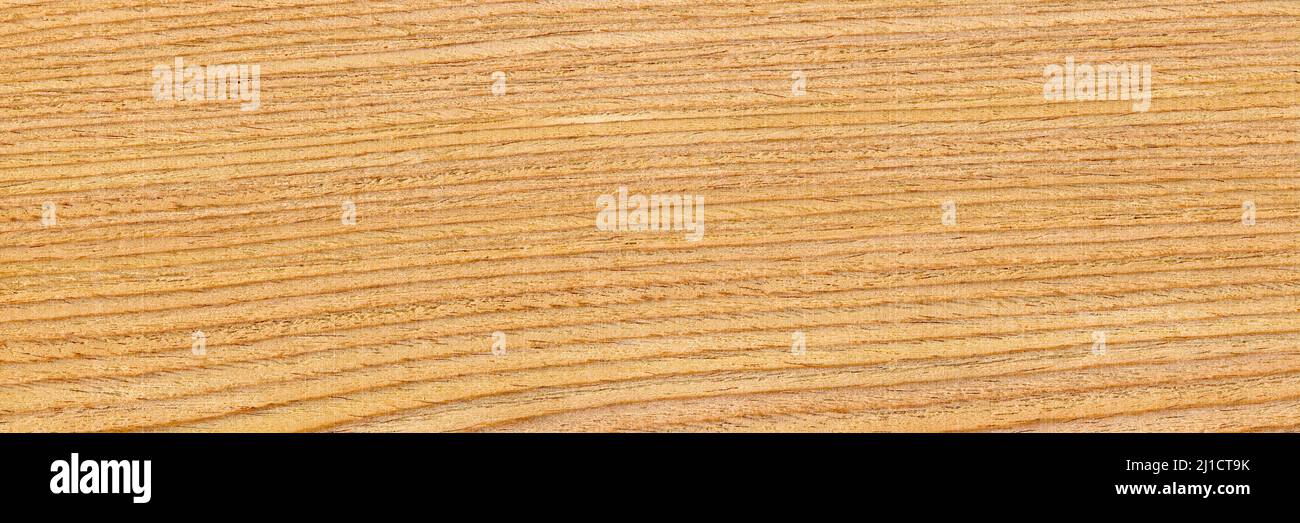 Wood grain texture. Oak wood, can be used as background Stock Photo Alamy
