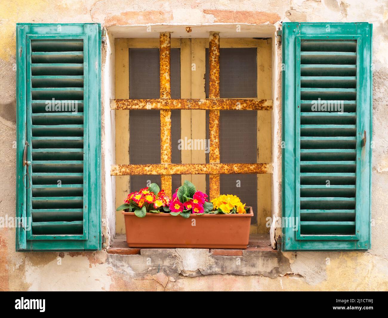 cute window with blinders and flowers on windowsill Stock Photo