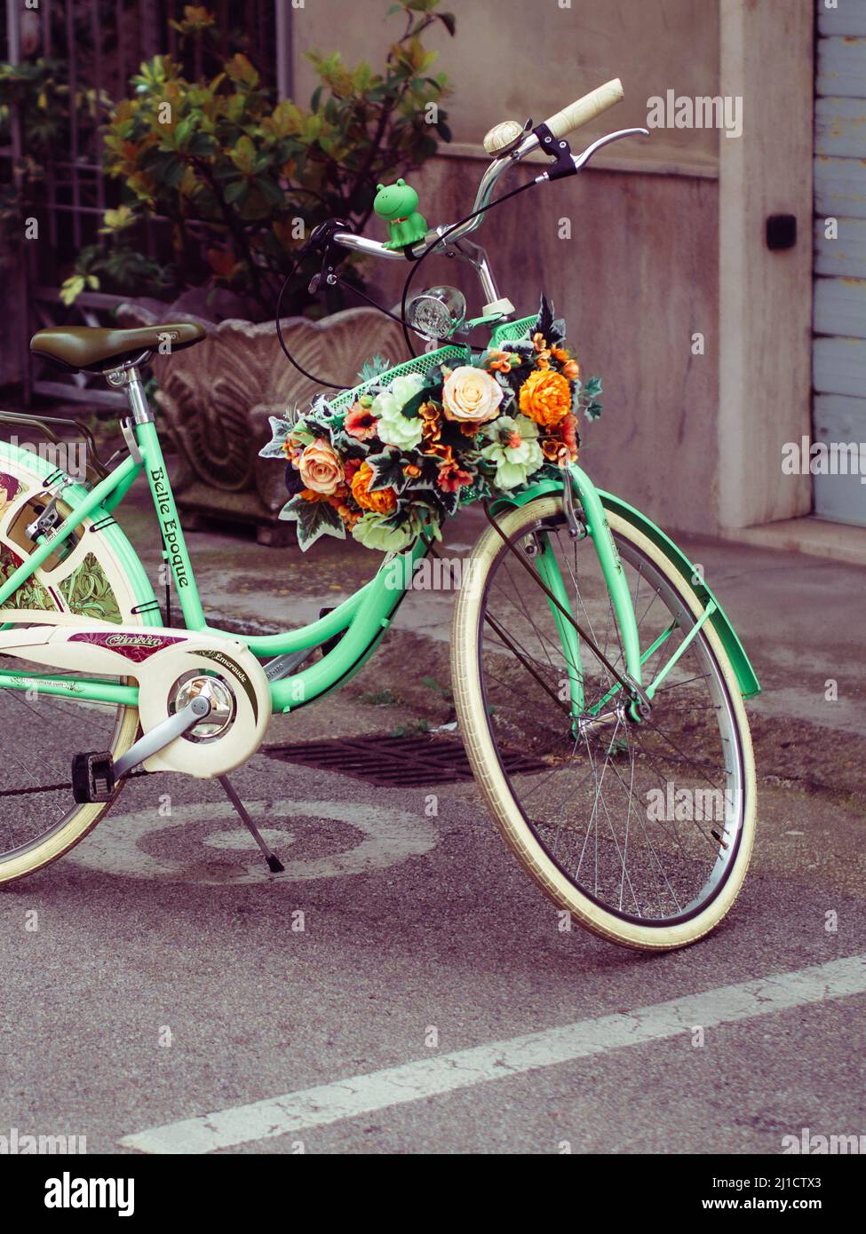 Mint bike with bunch of flowers in the basket Stock Photo