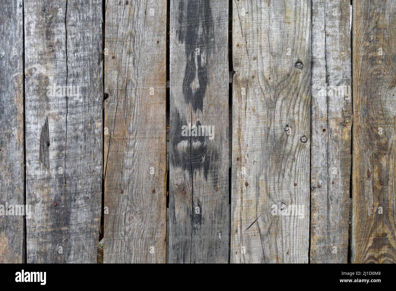 Old wood grain texture. Pine wood old, can be used as background