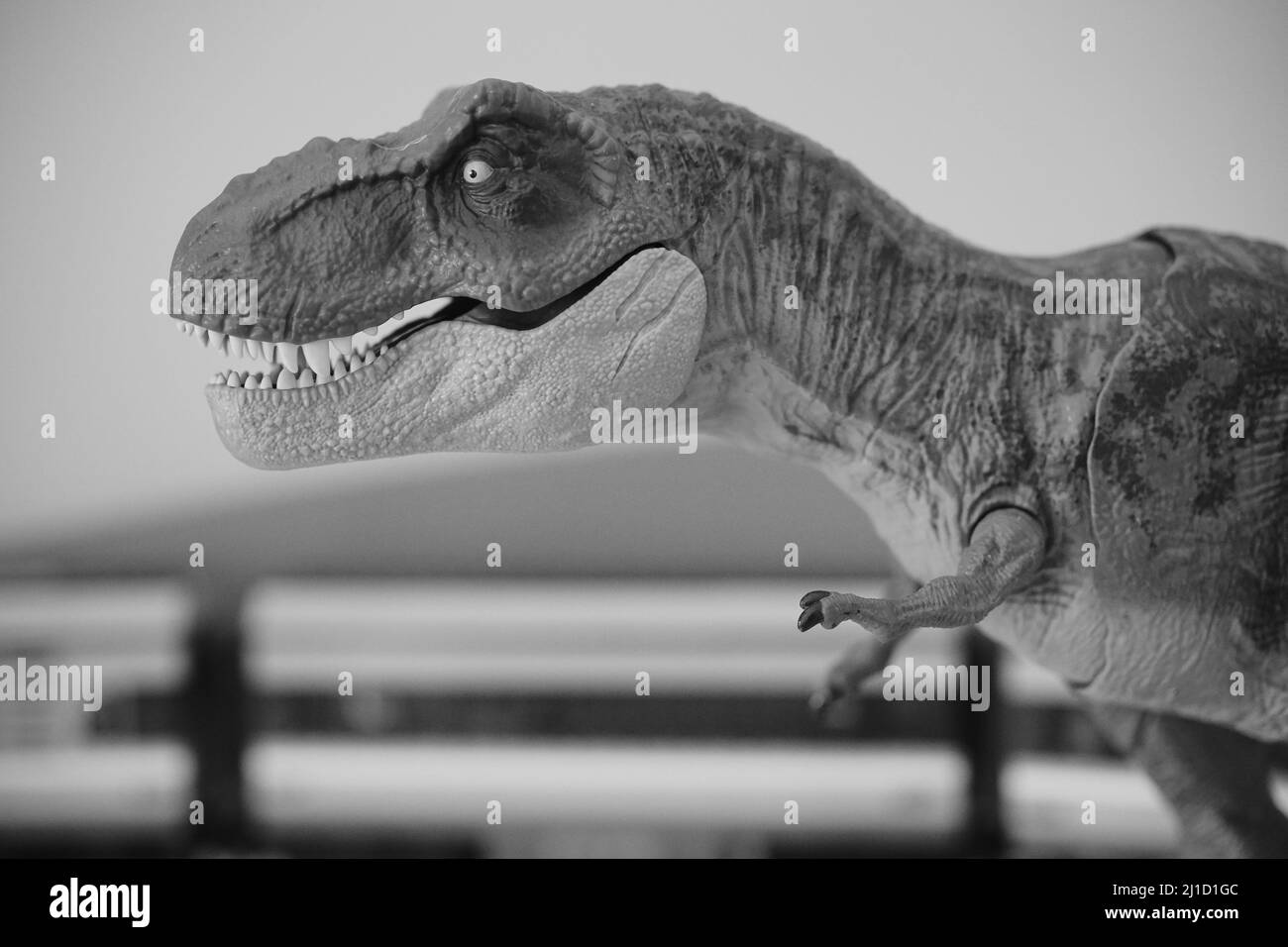 A closeup grayscale shot of Jurassic World Tyrannosaurus Rex toy dinosaur figure in Poznan, Poland Stock Photo