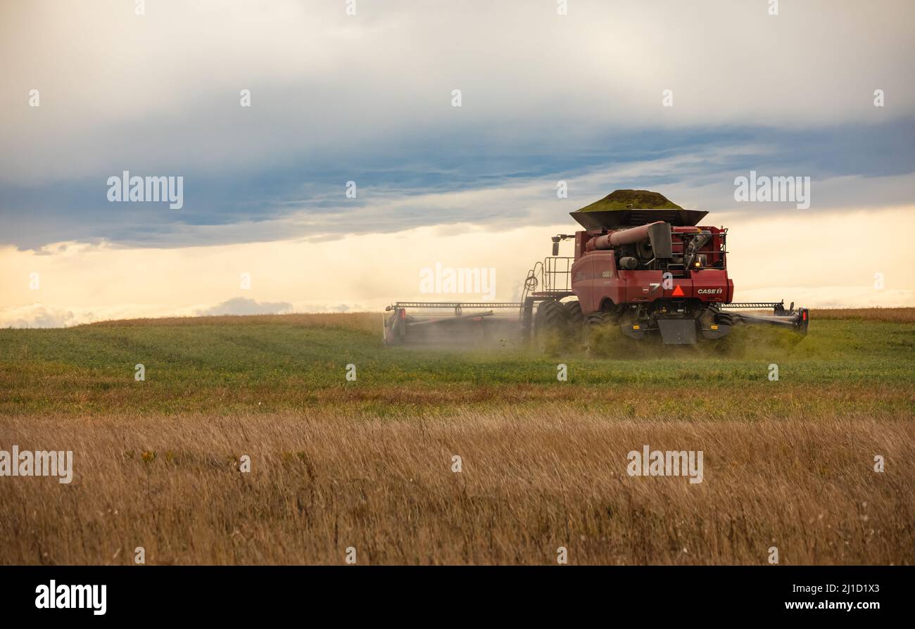 Tractor plowing the fields in spring or autumn season. Street photo, concept photo agriculture, selective focus-September 28,2021-Alberta, Canada. Stock Photo